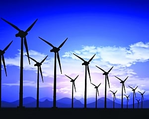 India must take bigger strides on road to carbon neutrality