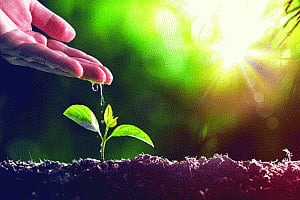 IPCC report: The language of the scientists