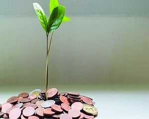 Need to grasp SME capital budgeting