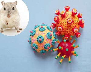 New RNA-based therapy protects mice from Covid virus, variants: Study
