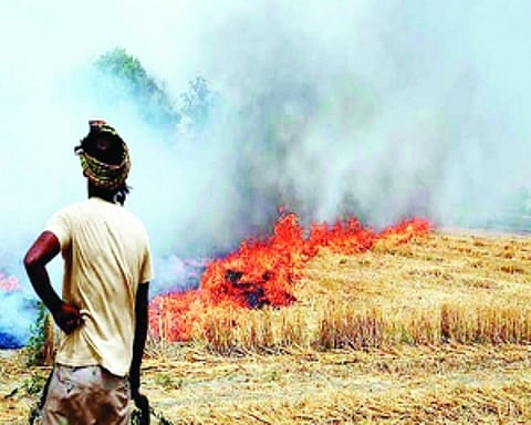 Pollution levels are the worst in India