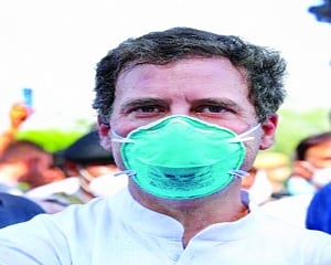 Rahul, KCR test Covid +ve, Kejriwal in quarantine
