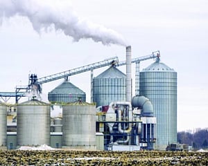 The ‘Green gold' to enrich sugarcane value chain