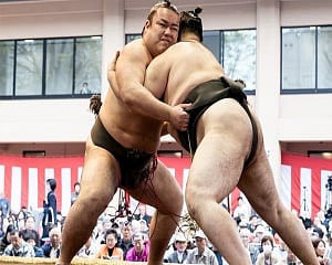 Top-ranked sumo wrestler tests positive for COVID-19