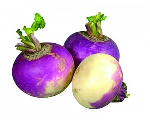 WARMFOOD