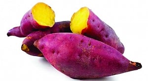 Warmfoods