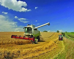 Accelerating agri-tech to transform food systems