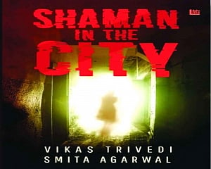 Book Shaman in the City is the thriller you were looking for