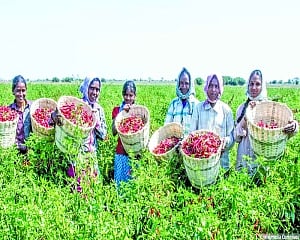 Budget must boost Farmers’ income