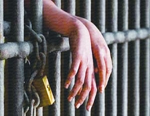 Captive rights