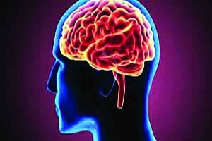 Covid shrinks brain, triggers memory loss