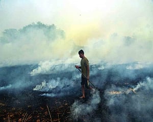 Diesel cars can’t ply in gasping Delhi-NCR
