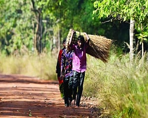 English literature’s dilemma: The Indian mind