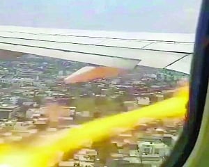 Flight catches fire mid-air after bird hit