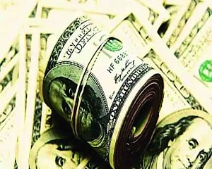 FPIs quit India; LIC, MFs make risky bets