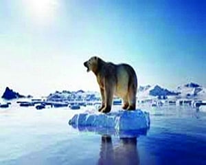 Global warming could cause next pandemic, warns study