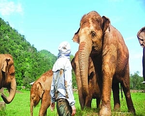 Humans & other living beings