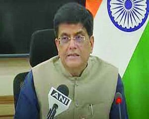 India protected farmers’ interest at WTO meet: Min