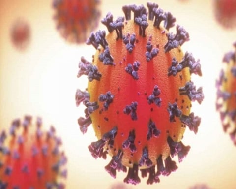 India records 20,044 fresh Covid cases, 56 deaths in a day