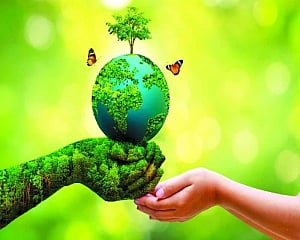 Lasting change for air quality requires day-to-day commitment