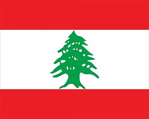 Lebanon delivers signed sea border deal to US mediator