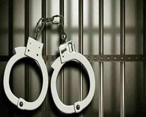 Mowing down of DSP: Haryana Police arrest accused truck driver from Rajasthan