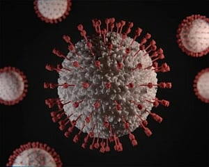 New antiviral drug combo highly effective against COVID-19: Study