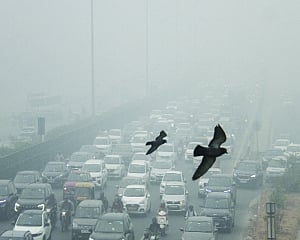 Delhi under toxic shroud, 50 per cent govt staff to WFH