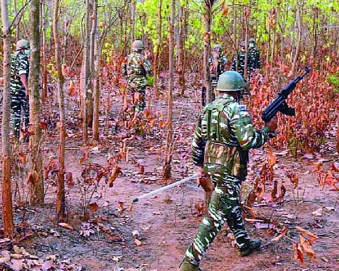 11 Naxals surrender in Maharashtra