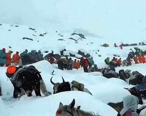 850 hikers, guides stranded in Mt Everest blizzard rescued
