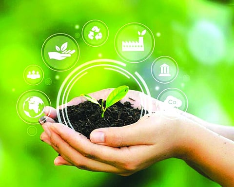Biofuel Paradigm and The Need For The Subaltern Biodiesel to be back?