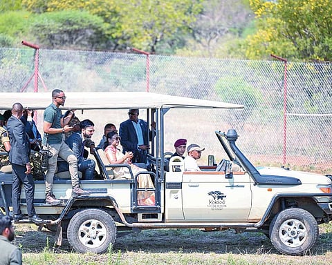 Botswana handsover cheetahs to President Murmu