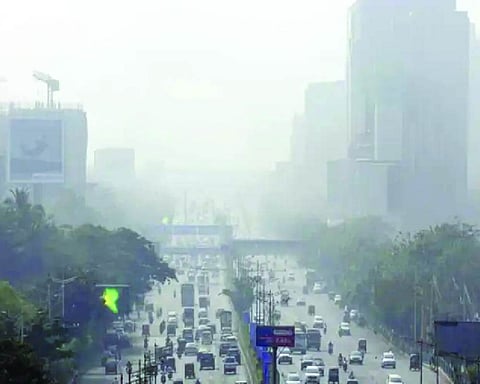 Capital’s air toxic for trees; hampers oxygen production, leaf functions: DU study