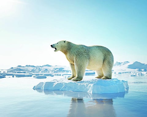 Climate change & Indian agenda for COP30