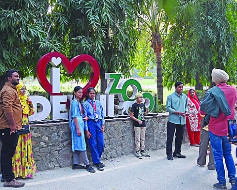 Delhi Zoo reopens for visitors after two-month closure