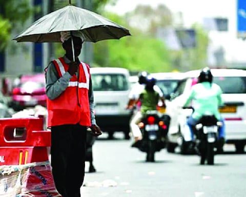 India’s average temperature rose 0.89°C in 2015-2024, says study