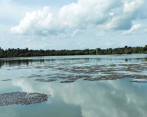 Kerala to get largest floating solar project at West Kallada