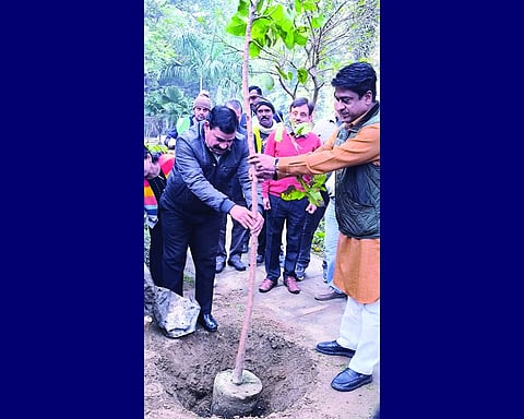 NDMC Vice Chairperson Chahal participates in tree plantation drive