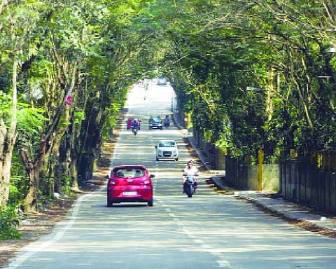 SC seeks HMT response on plea for taking possession of 27 acres of land