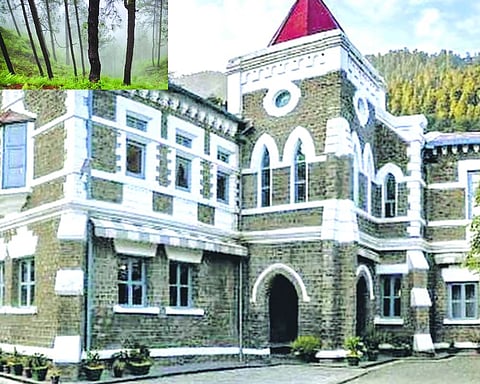Uttarakhand HC issues notices into missing forest boundary pillars in Mussoorie