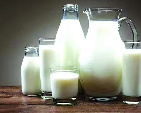 Why dairy is India’s most inclusive economic revolution