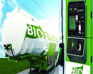 A credible and liquid carbon market will be a game-changer