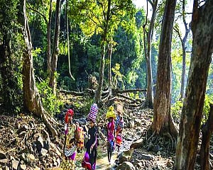 A new chapter for forest rights implementation