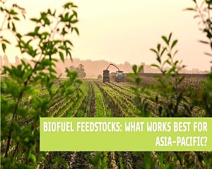 Biofuel Feedstocks: Current Status, Policies, and the Need for Reform