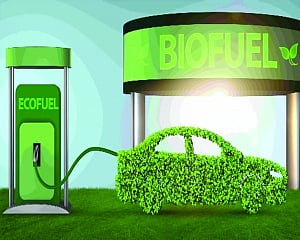 Biofuels in India: Opportunities and Challenges