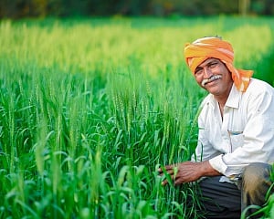 BJP Urges Karnataka Govt to Act Against Fake Seeds, Fertilisers; Announces Statewide Protest