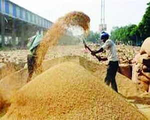 Cooperative commodity zones: A farmer-led revolution for economic empowerment