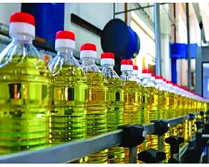 Eco Survey pitches for policy shift to cut cereal output, boost pulses, edible oils