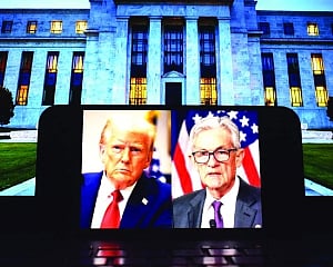 FED GUTS