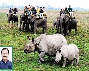 Flood management and Kaziranga National Park